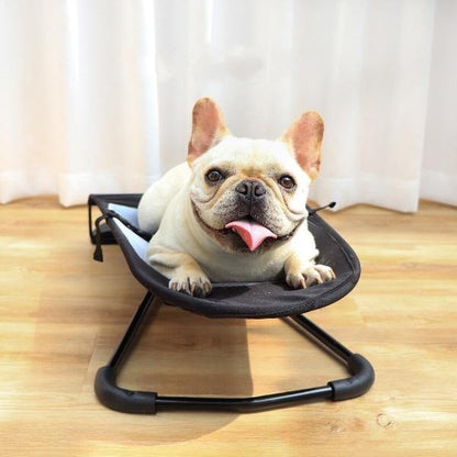 New Dog Rocking Chair